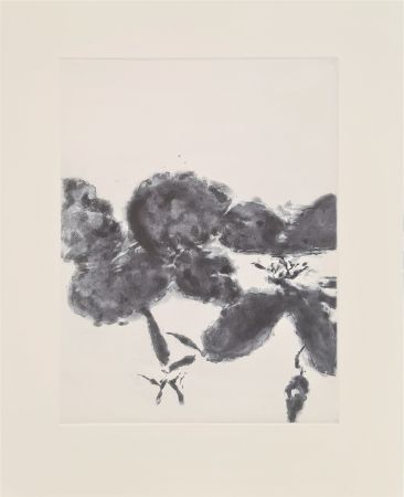 Etching And Aquatint Zao - XXIV Sonnets de Shakespeare