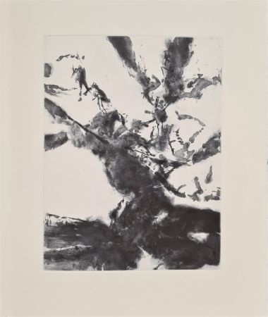 Etching And Aquatint Zao - XXIV Sonnets de Shakespeare